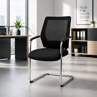 Fixed Chair (Staff)