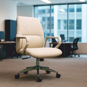Low Back Chair